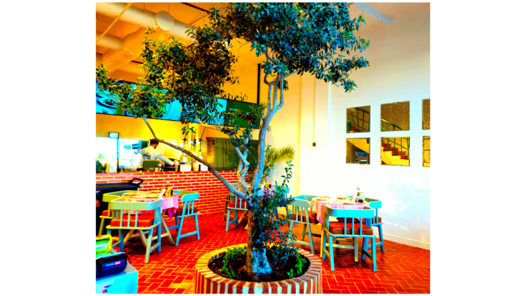 Picual Restaurant Full Reviews 3 Untitled design 1 1
