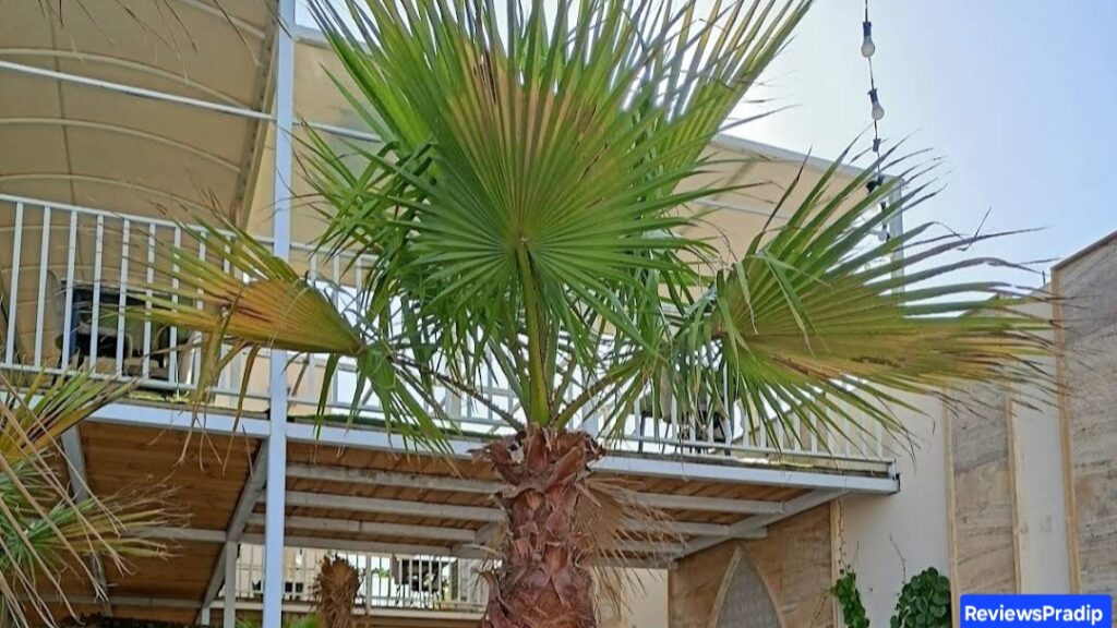 Beirut Restaurants Best Detail Reviews 2025 5 Beirut Restaurants Best Detail Reviews 2025