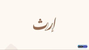 Earth Coffee Shop Best Reviews 2025