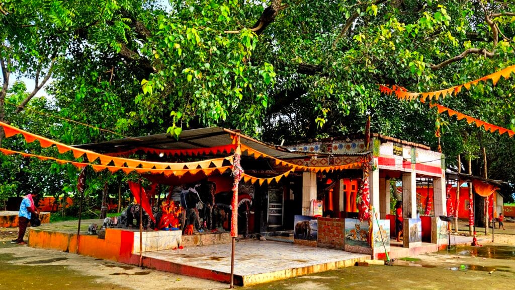 Padiyatal Mata Mandir: इतिहास, चमत्कार, मान्यताएं और Best Guide (2025)